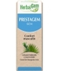 Prestagem Flacon compte gouttes Herbalgem Gemmobase
