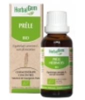 Prêle bio Flacon compte gouttes Herbalgem Gemmobase