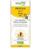 Propolis Junior sirop Herbalgem Gemmobase