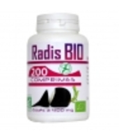 Radis Noir Bio GPH Diffusion