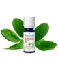 Ravintsara BIO Puressentiel