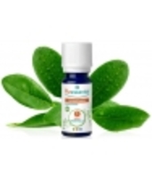 Ravintsara BIO Puressentiel