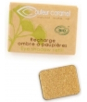Recharge Ombre à paupières n°109 feuille d