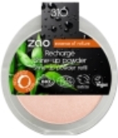 Recharge Shine Up Powder Champagne Zao