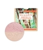 Recharge Shine up powder duo 311 Rose et Zao