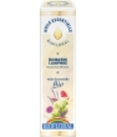 Romarin camphré Biofloral