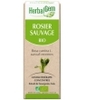 Rosier sauvage bio Flacon compte gouttes Herbalgem Gemmobase