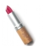 Rouge à lèvres Naturel Mat n°123 Rose Vif Couleur Caramel