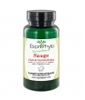 Sauge 90 Esprit phyto