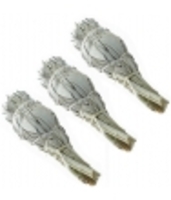 Sauge blanche de Californie lot de Esprit phyto
