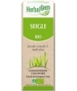 Seigle bio Flacon compte gouttes Herbalgem Gemmobase