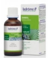 Serenoa Repens Palmier Nain Ladrome