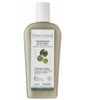 Shampoing Cheveux gras Pin Bardane Argile verte Dermaclay