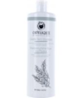 Shampoing Extra Doux aux Plantes Odylique