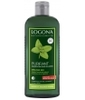 Shampoing purifiant à la Mélisse cheveux gras Logona