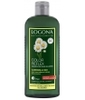 Shampoing reflets camomille blond Logona