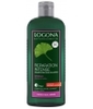 Shampoing réparation intense au Gingko Logona