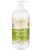 Shampoing Soin Ginkgo et olive Sante
