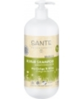 Shampoing Soin Ginkgo et olive Sante