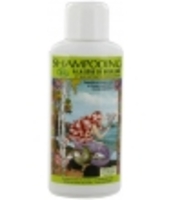Shampooing à la Sève de Bouleau Gayral