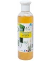 Shampooing traitant à l