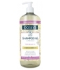 Shampooing ultra doux cheveux normaux à la reine des prés d