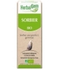 Sorbier bio Flacon compte gouttes Herbalgem Gemmobase