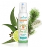 Spray Aérien Assainissant aux 41 Huiles Essentielles Puressentiel