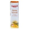 Spray buccal à la propolis Flacon verre spray buccal Aagaard