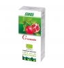 Suc de plantes grenade Bio Salus
