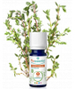 Thym à linalol BIO Puressentiel