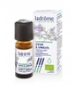 Thym à Linalol Ladrome