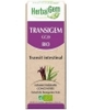 Transigem Flacon compte gouttes Herbalgem Gemmobase