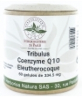 Tribulus Coenzyme Q10 Eleuthérocoque 60 Herboristerie De Paris