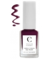 Vernis à ongles n°47 Myrtille Couleur Caramel