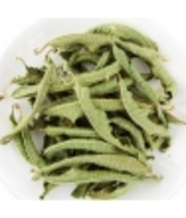 Verveine grande feuille BIO Herboristerie De Paris
