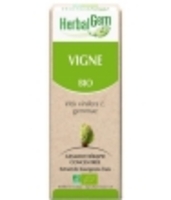 Vigne bio Flacon compte gouttes Herbalgem Gemmobase