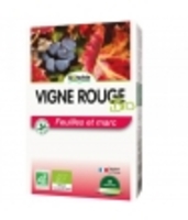 Vigne rouge bio 20 ampoules de Biotechnie