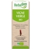 Vigne vierge bio Flacon compte gouttes Herbalgem Gemmobase