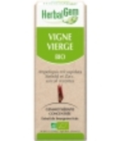 Vigne vierge bio Flacon compte gouttes Herbalgem Gemmobase