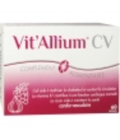 Vit