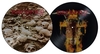 Bathory - Requiem - LP - Unisexe - Image