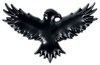 Black Premium by EMP - Black Crow - Badge - Femme - noir