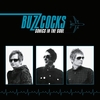 Buzzcocks - Sonics in the soul - CD - Unisexe - multicolor