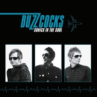 Buzzcocks - Sonics in the soul - CD - Unisexe - multicolor