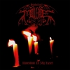 Diabolical Masquerade - Ravendusk in my heart - CD - Unisexe - multicolor