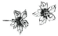 etNox - Wild Flower - Set de boucles d