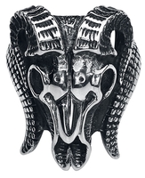 etNox hard and heavy - Ram