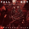 Fall Out Boy - Believers never die Vol.2 - CD - Unisexe - multicolor