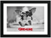 Gremlins - Gizmo - Photo encadrée - Unisexe - multicolor